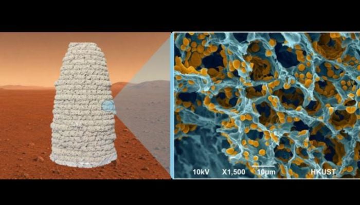 Could a newly engineered microbe help humanity survive on Mars?
