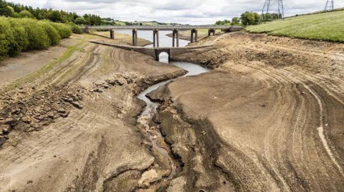 Yorkshire declares drought after prolonged dry weather