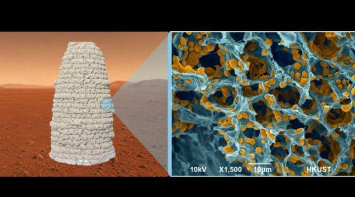 Could a newly engineered microbe help humanity survive on Mars?