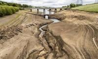 Yorkshire declares drought after prolonged dry weather