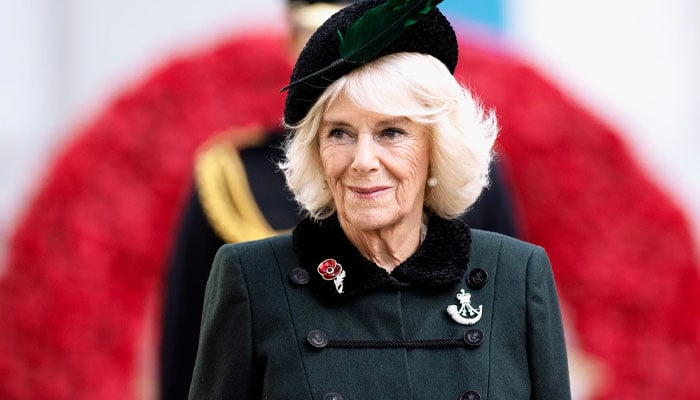 Queen Camilla looks back on the forbidden book she read as a teenager