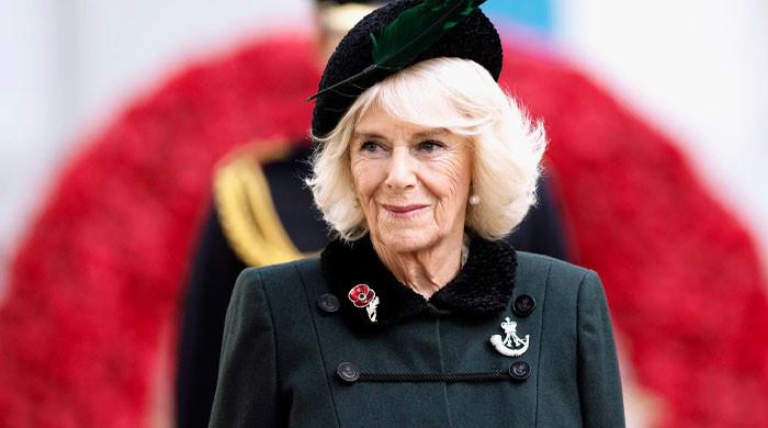 Queen Camilla looks back on the forbidden book she read as a teenager