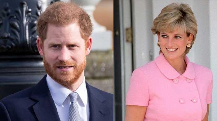 Prince Harry cashing in on Princess Diana? Shocking details come to light