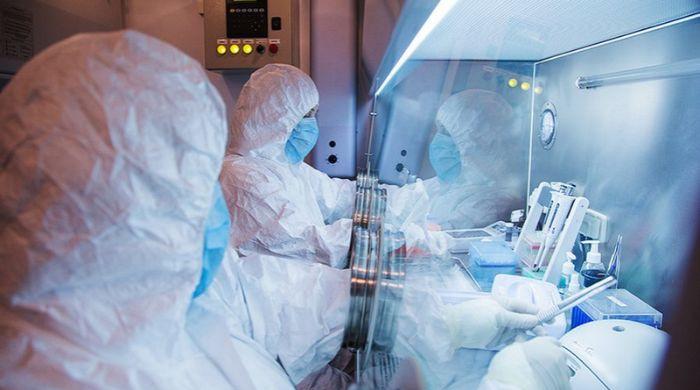 WHO confirms death at Russian research lab, says no plague case registered