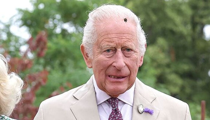 King Charles ‘at his wits end’: ‘There is no end in sight and it’s opened the floodgates’