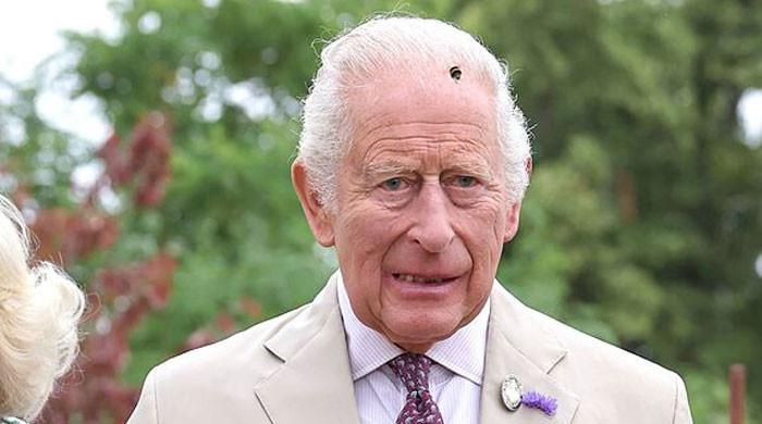 King Charles ‘at his wits end’: ‘There is no end in sight and it’s opened the floodgates’