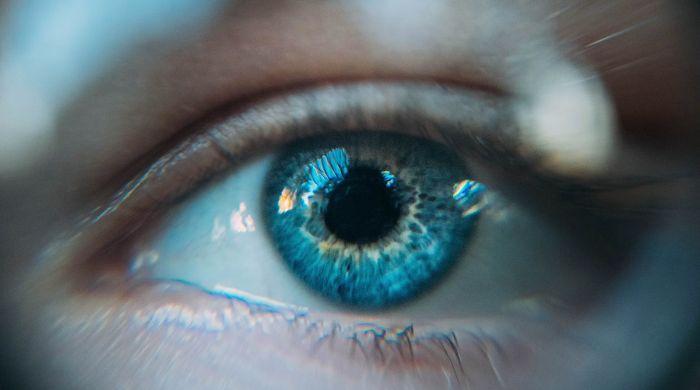 Scientists discover hidden drainage route at the back of the eye