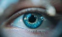 Scientists discover hidden drainage route at the back of the eye