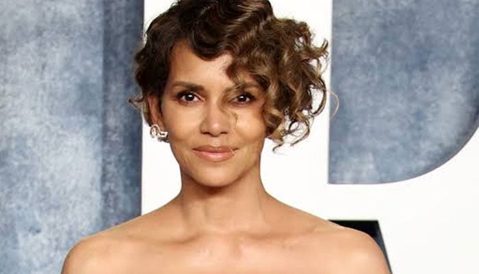 Halle Berry’s custody case: New voice may enter the courtroom