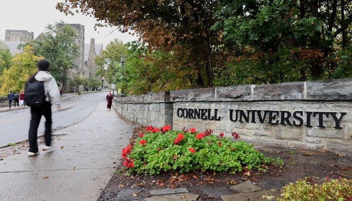 New findings emerge about Cornell Jane Doe gang rape: Witness speaks out REUTERS/Lauren Petracca/File Photo