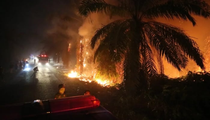 The fires have caused severe haze, tens of thousands of respiratory illness cases and worsening air pollution