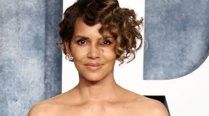 Halle Berry’s custody case: New voice may enter the courtroom