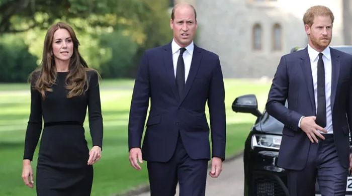 Kate Middleton wants Prince William, Harry to make peace: Real reason revealed