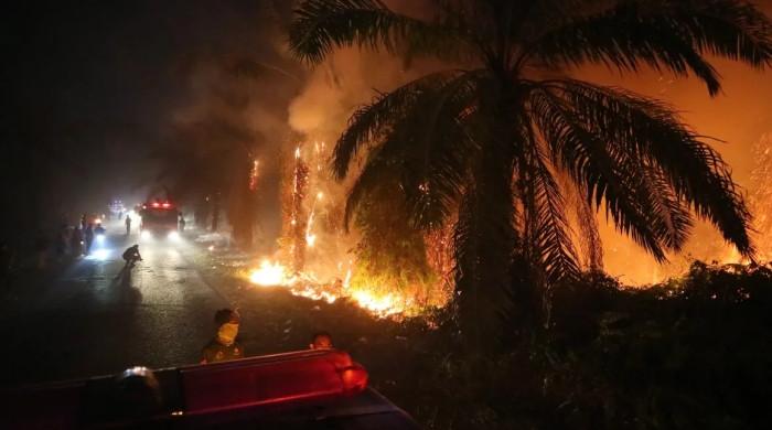 El Niño fuels Indonesia wildfires, destroying nearly 300 homes in Sumatra