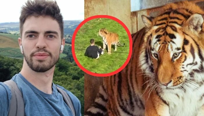 Trump faces heavy backlash after sharing bizarre AI video of himself wrestling tiger that killed British man