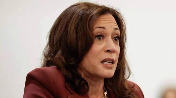 ‘Window is shutting’: Kamala Harris warns time is running out for AI safeguards