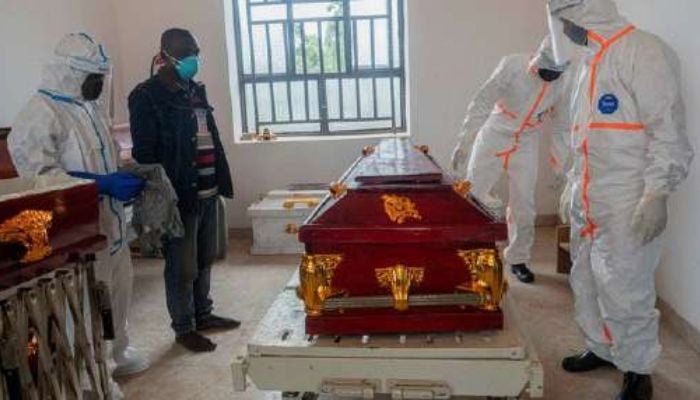 West Nile virus: Europe reports 141 deaths as human cases rise in 2026