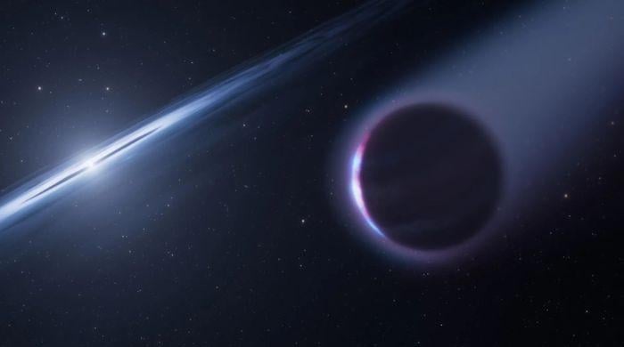 Hubble data hints at planet born after its star died