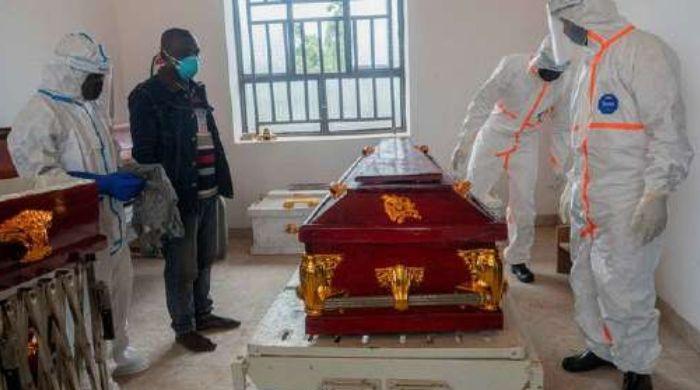 West Nile virus: Europe reports 141 deaths as human cases rise in 2026
