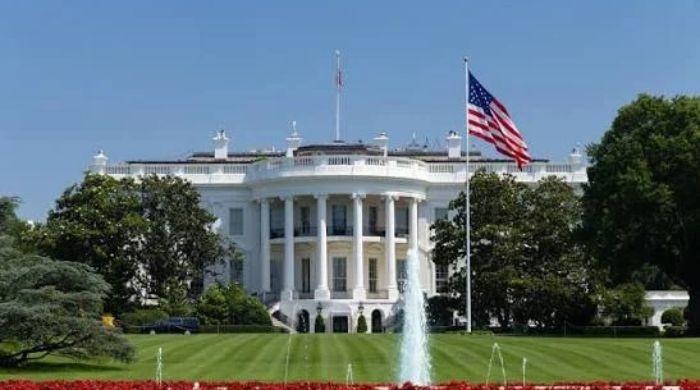 America’s ‘Golden Age’: White House launches lo-fi music