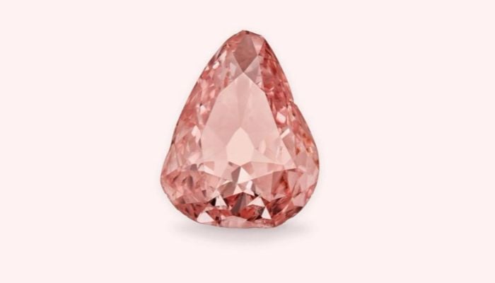 Rare pink diamond steals the spotlight in France 100 years after  heist