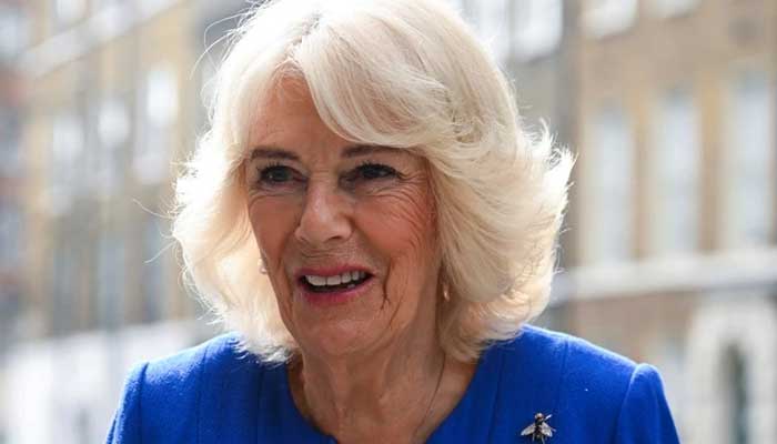 Queen Camilla, her ex-husband and Zara Tindall attend Ascot