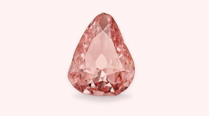 Rare pink diamond steals the spotlight in France 100 years after  heist 