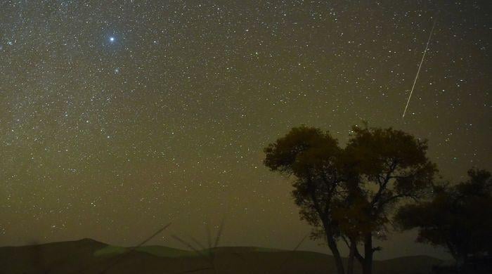 Orionid meteor shower 2026: Peak date, viewing tips and what to expect