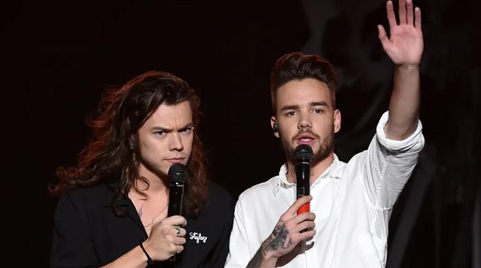 Harry Styles unveils unreleased song in tribute to Liam Payne