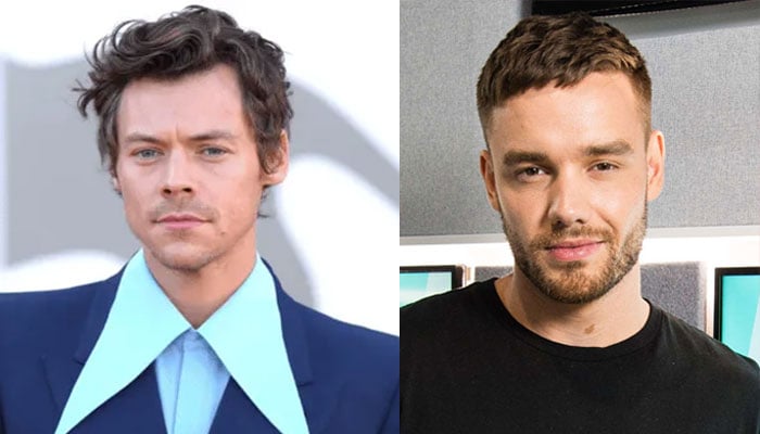 Harry Styles recalls heartbreaking moment of burying pal Liam Payne
