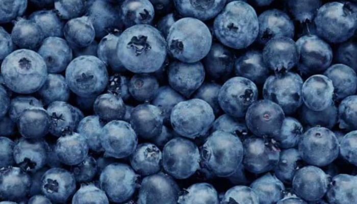 Study finds eating blueberries every day can surprisingly boost your mood
