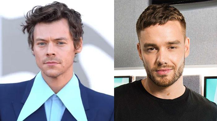 Harry Styles recalls heartbreaking moment of burying pal Liam Payne