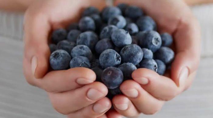 Study finds eating blueberries every day can surprisingly boost your mood 