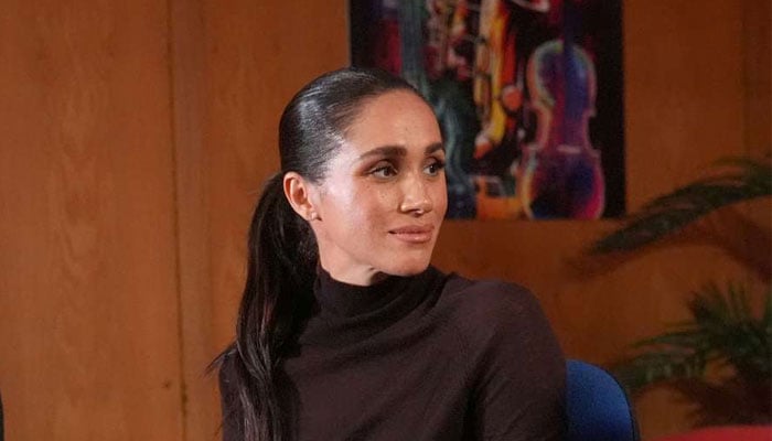 Netflix source finally comes out to defend itself against Meghan Markle’s supporters