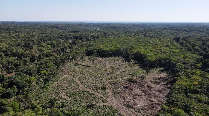Amazon deforestation drops to lowest level since 1988 as Brazil election looms