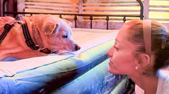 Ariana Grande mourns beloved dog Coco in touching tribute