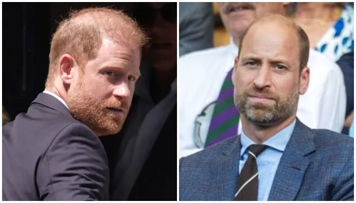 Prince Harry hands William ‘exactly what he wants’: ‘Doesn’t seem to dawn on him though’