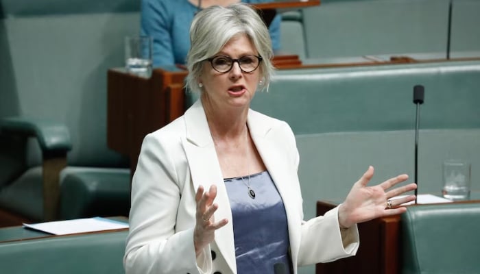 Man charged after Australian MP Helen Haines loses leg in alleged car attack