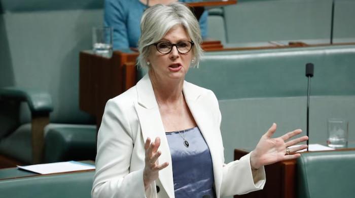 Man charged after Australian MP Helen Haines loses leg in alleged car attack