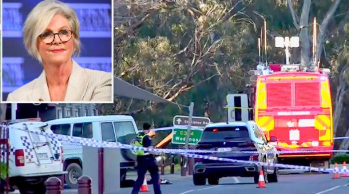 Attack on Australian MP Helen Haines highlights escalating threats to public figures