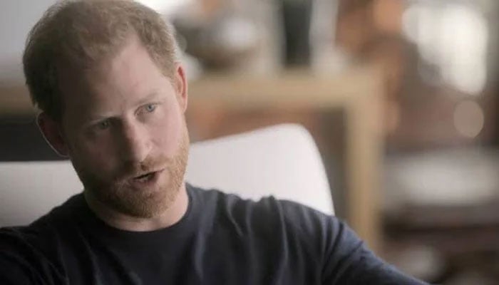 Prince Harry finally speaks to haters: ‘I no longer fall out of nightclubs drunk? Do you want that?’