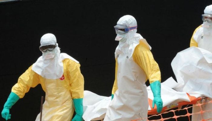 France confirms worlds first human case of Shamonda virus; patient dies