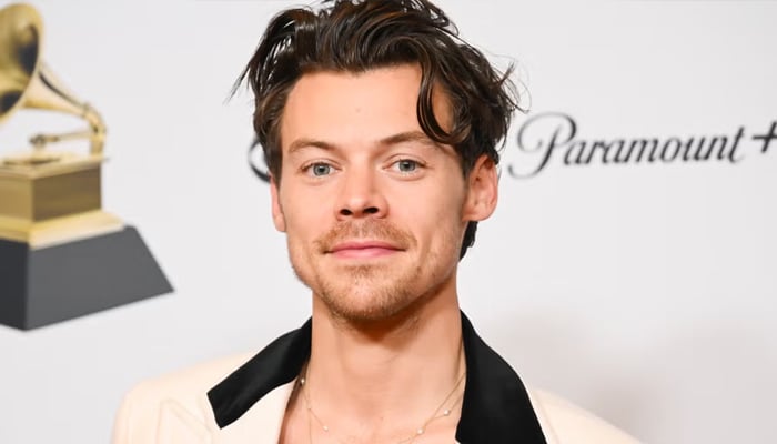 Harry Styles heats up in confrontation against rude fan