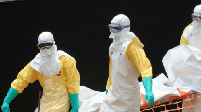 France confirms world's first human case of Shamonda virus; patient dies