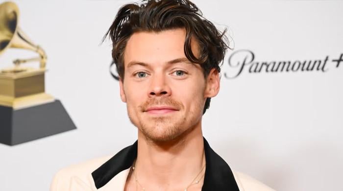 Harry Styles heats up in confrontation against rude fan