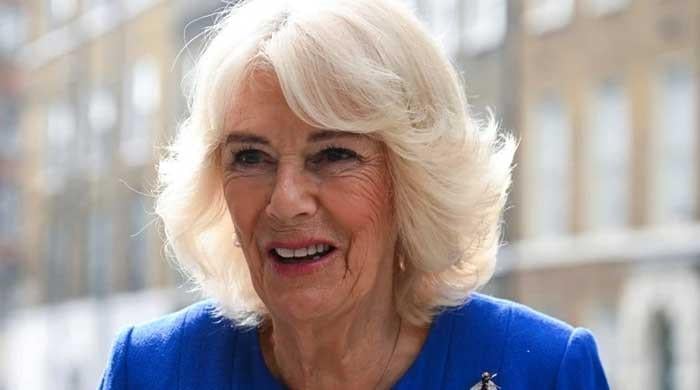 Queen Camilla performs royal duties as William attends TV show and Meghan gets embroiled in controversy