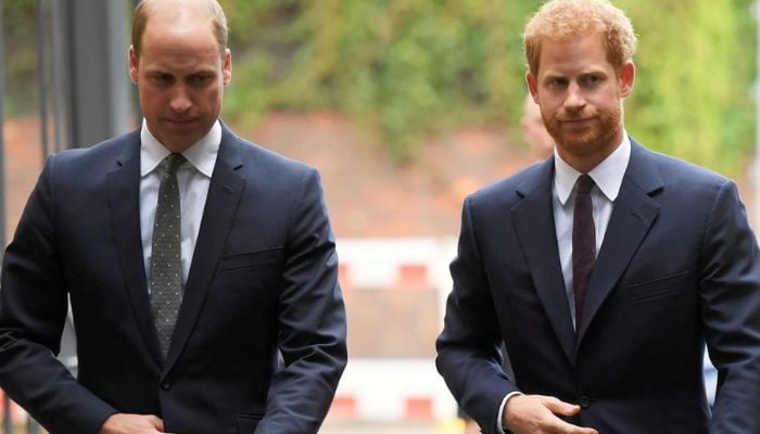 Prince Williams reaction to Prince Harrys ‘public plea’ revealed