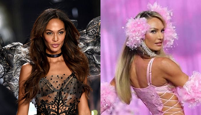 Are Candice Swanepoel and Joan Smalls still friends? Fans take notice