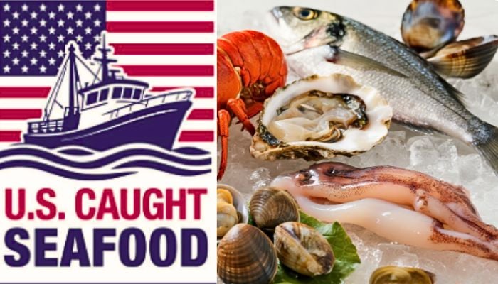 US announces ‘American-made’ seafood labeling initiative to support domestic fishermen