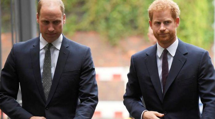 Prince William's reaction to Prince Harry's ‘public plea’ revealed